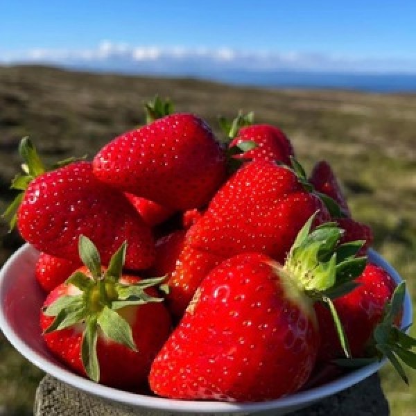  400g Strawberries